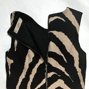 Loft Zebra Print Dress